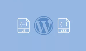 Javascript CSS WordPress